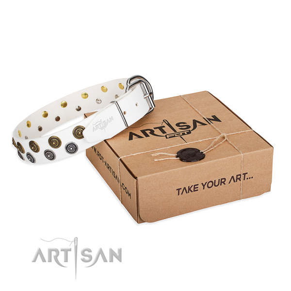 Daily use dog collar of best quality full grain genuine leather with decorations