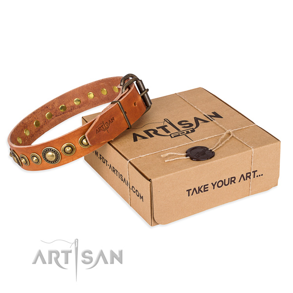 Best quality leather dog collar handcrafted for everyday use