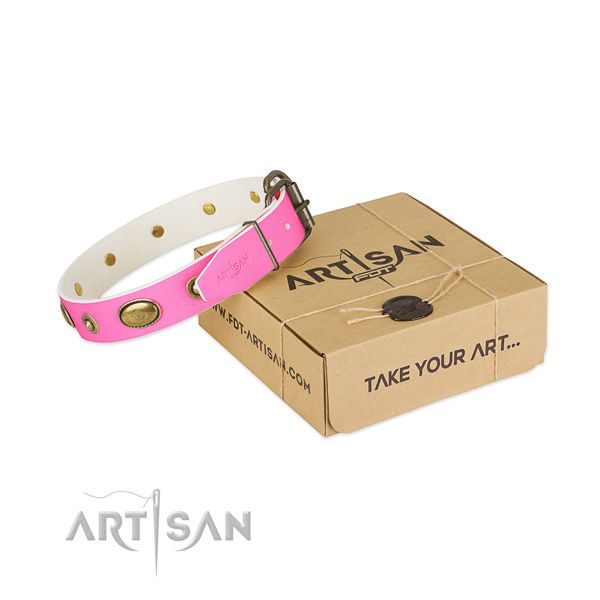 Studded full grain leather collar for your beautiful pet