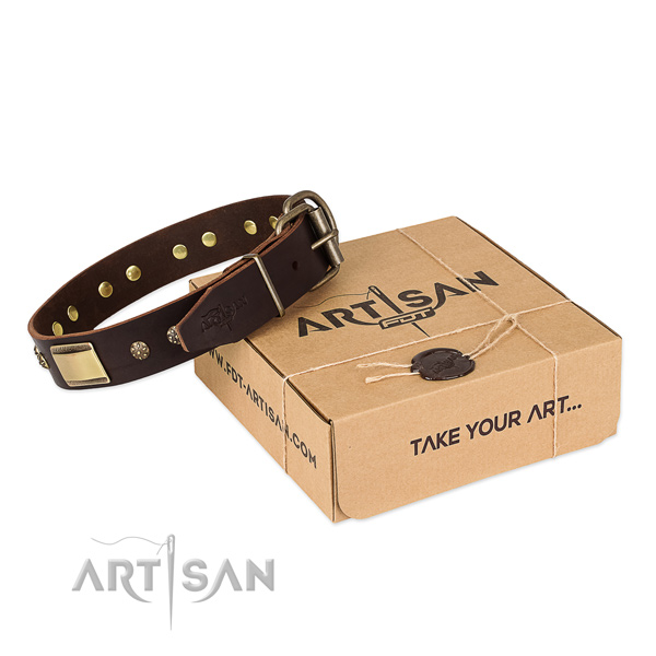 Awesome full grain natural leather collar for your handsome canine