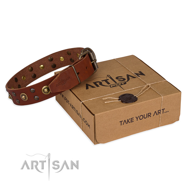 Reliable traditional buckle on full grain genuine leather collar for your handsome dog