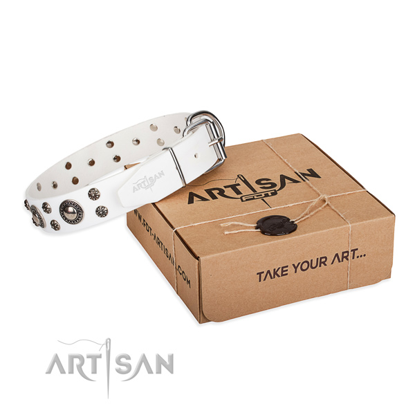 Easy wearing dog collar of top notch full grain genuine leather with embellishments