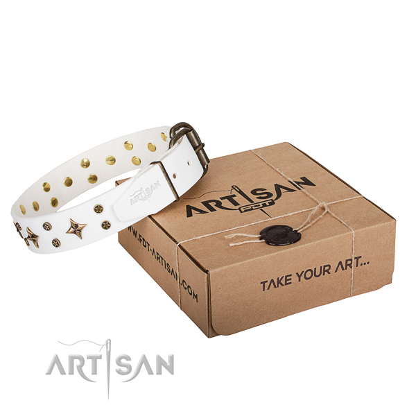 Walking dog collar of fine quality full grain genuine leather with embellishments