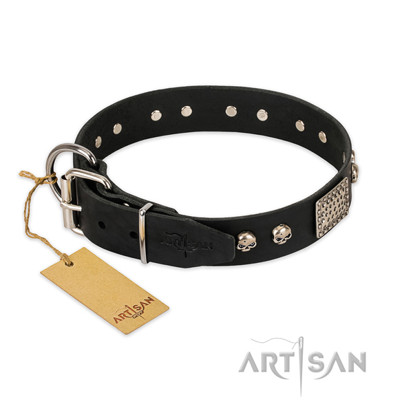 Rust-proof studs on stylish walking dog collar