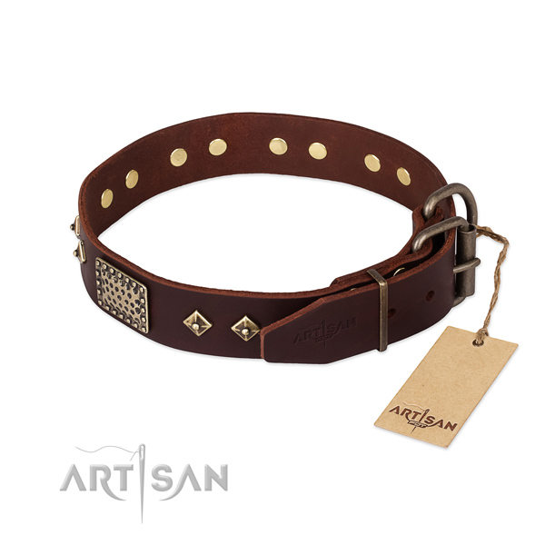 Genuine leather dog collar with rust-proof hardware and studs