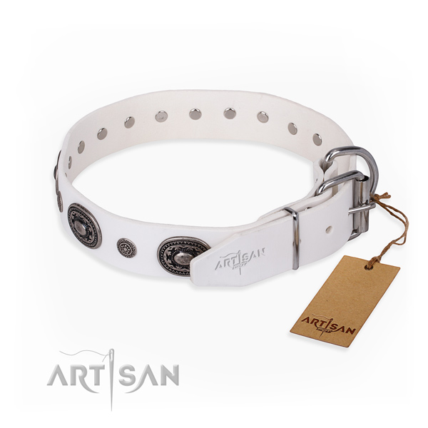 Top notch full grain leather dog collar made for everyday walking