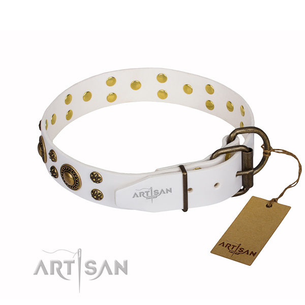 Everyday walking decorated dog collar of quality leather