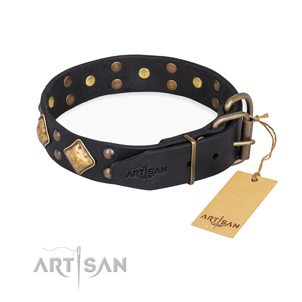 Full grain genuine leather dog collar with inimitable reliable embellishments