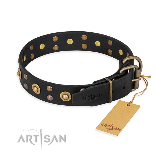 Reliable fittings on genuine leather collar for your attractive canine