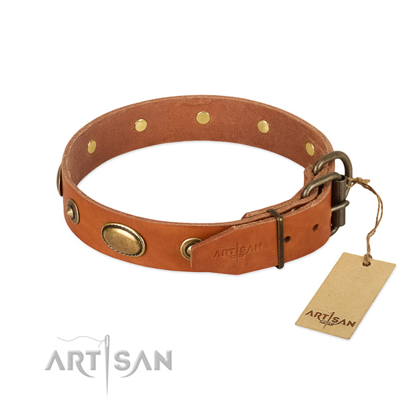 Corrosion proof traditional buckle on genuine leather dog collar for your four-legged friend