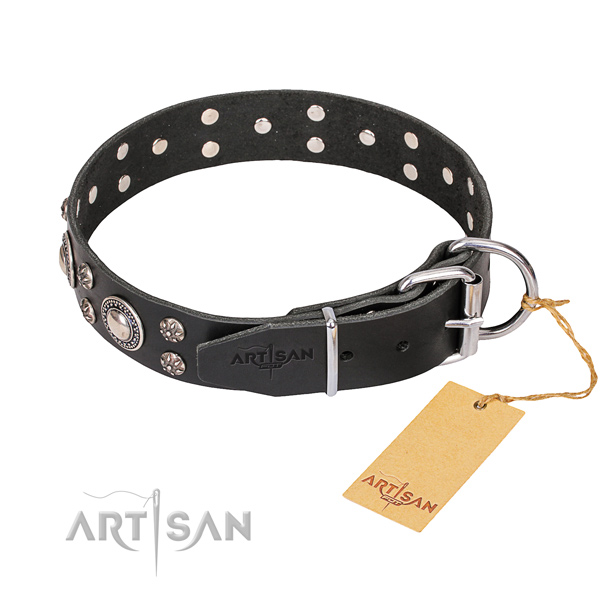 Comfy wearing studded dog collar of high quality full grain genuine leather