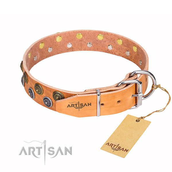 Fancy walking adorned dog collar of reliable full grain natural leather