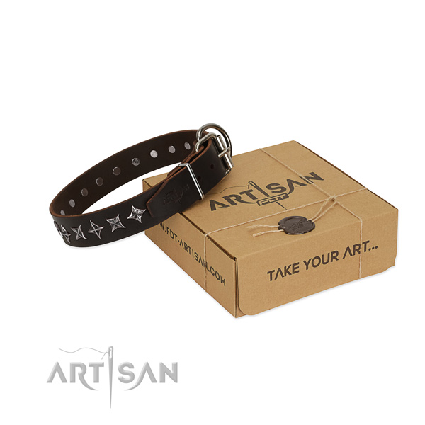 Walking dog collar of durable full grain natural leather with adornments