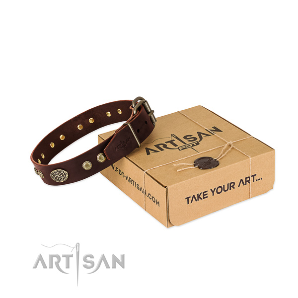 Rust resistant adornments on full grain leather dog collar for your doggie