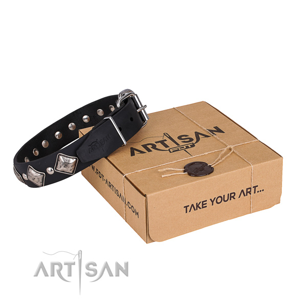 Everyday walking dog collar of best quality natural leather with studs