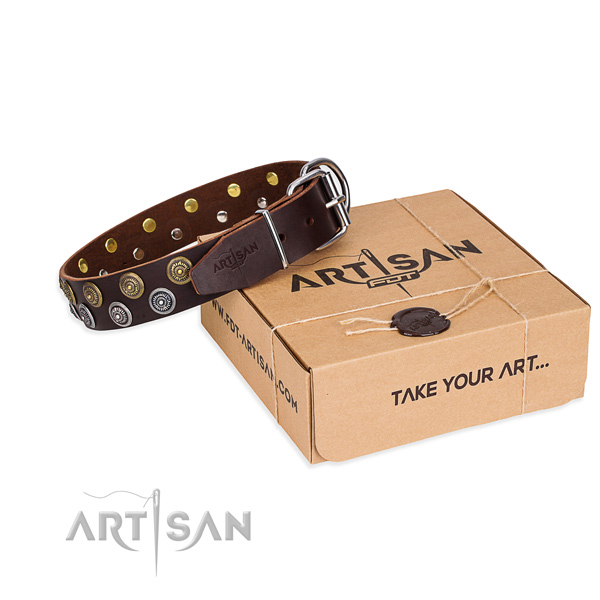 Fancy walking dog collar of finest quality genuine leather with decorations