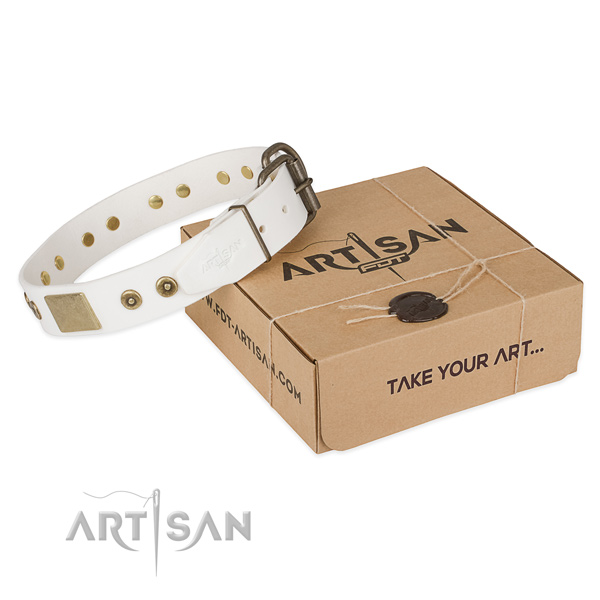 Stylish design natural leather collar for your lovely canine