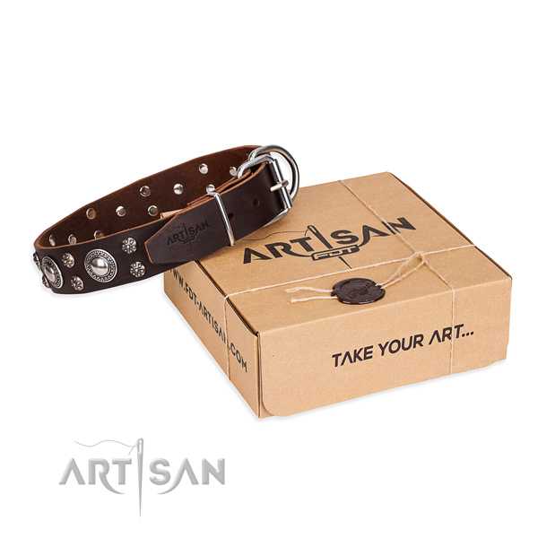 Daily walking dog collar of top quality natural leather with studs