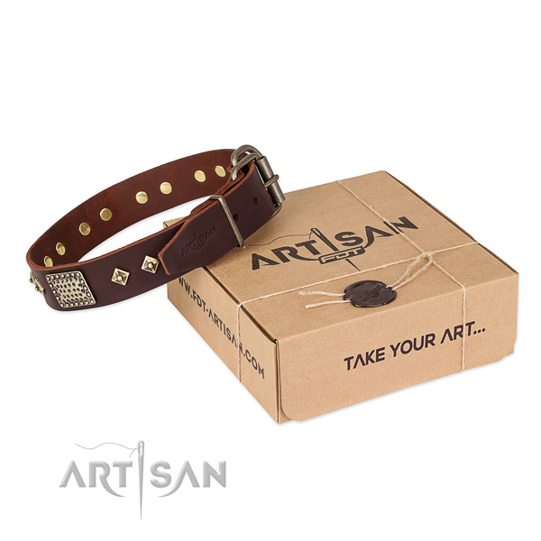 Remarkable leather collar for your handsome doggie