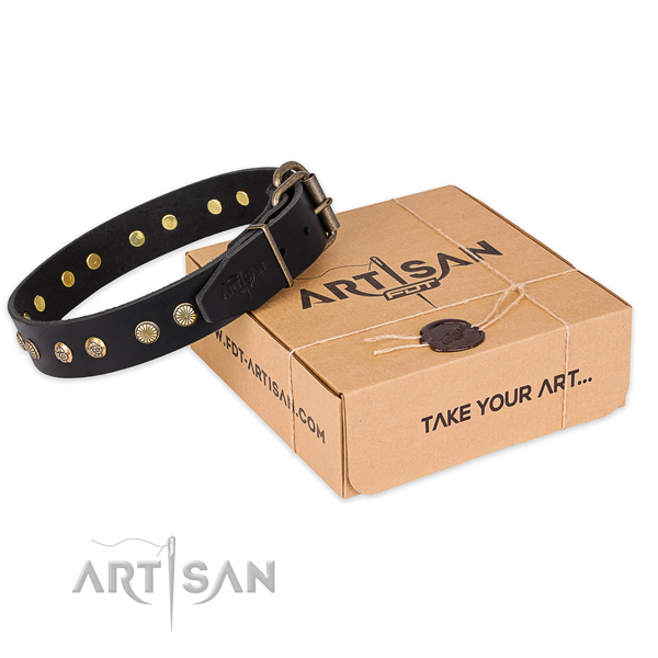 Reliable hardware on full grain genuine leather collar for your lovely pet