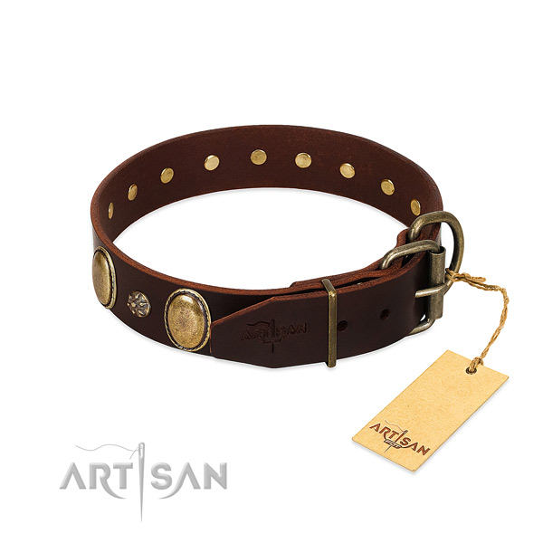 Everyday use quality genuine leather dog collar