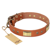 "Enchanting Spectacle" FDT Artisan Tan Leather Labrador Collar with Old Bronze Look Plates and Round Studs "Enchanting Spectacle" FDT Artisan Tan Leather Labrador Collar with Old Bronze Look Plates and Round Studs