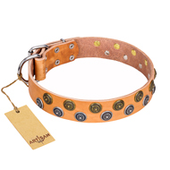 "Precious Sparkle" FDT Artisan Handcrafted Tan Leather Labrador Collar