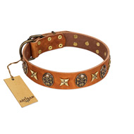 "Rockin' Doggie" FDT Artisan Tan Leather Labrador Collar Adorned with Stars and Skulls