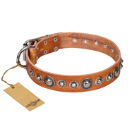 "Daily Chic" FDT Artisan Tan Leather Labrador Collar with Decorations "Daily Chic" FDT Artisan Tan Leather Labrador Collar with Decorations