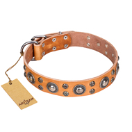 "Extra Sparkle" FDT Artisan Handcrafted Tan Leather Labrador Collar "Extra Sparkle" FDT Artisan Handcrafted Tan Leather Labrador Collar