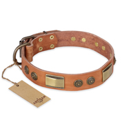 "Lost Desert" FDT Artisan Leather Labrador Collar with Brass Decorations