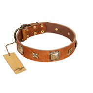 "Celtic Tunes" FDT Artisan Tan Leather Labrador Collar Adorned with Stars and Squares