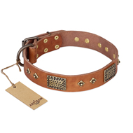 "Catchy Look" FDT Artisan Decorated Tan Leather Labrador Collar "Catchy Look" FDT Artisan Decorated Tan Leather Labrador Collar