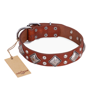 "Magic Squares" FDT Artisan Tan Leather Labrador Collar with Silver-like Decor