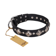 "Silver Charm" FDT Artisan Leather Labrador Collar with Silvery-Plated Large Square Studs