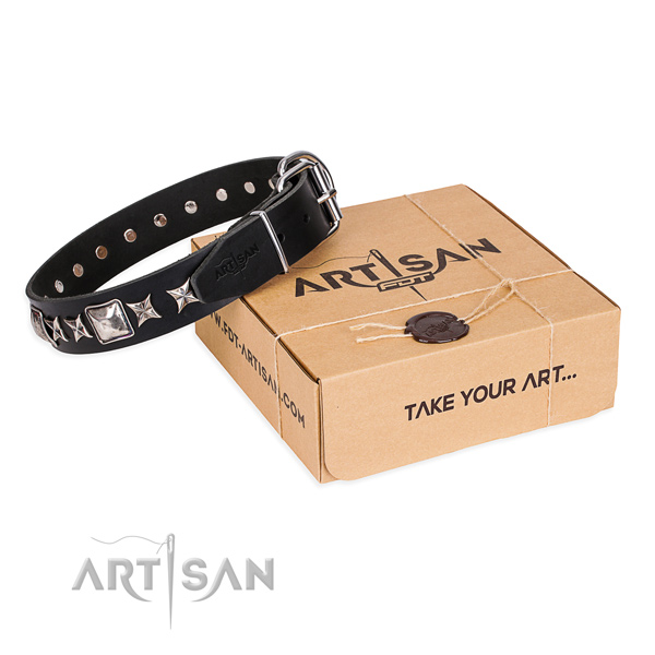 Daily use dog collar of best quality full grain genuine leather with studs