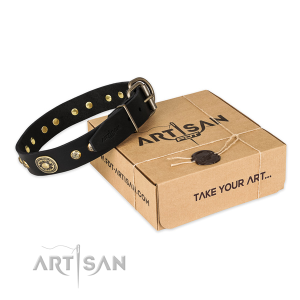 Durable hardware on full grain genuine leather dog collar for everyday walking
