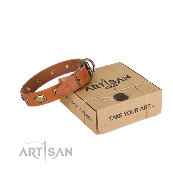 Rust-proof decorations on full grain leather dog collar for your dog