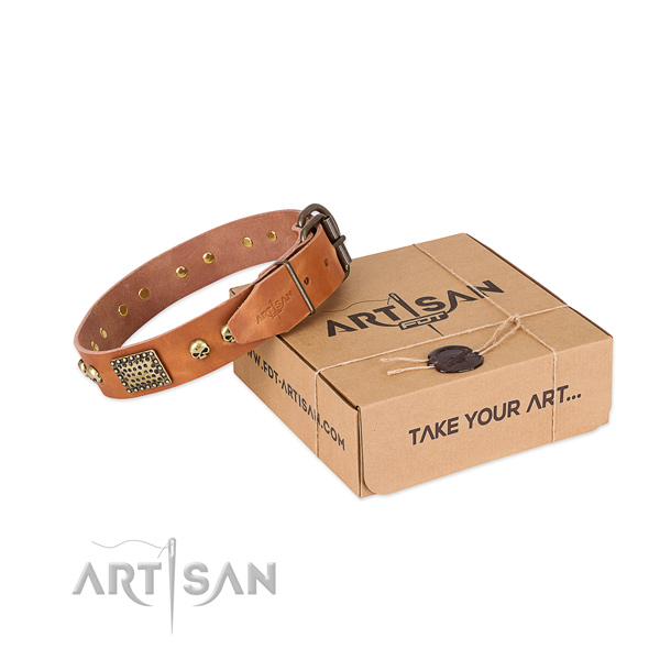 Rust resistant fittings on dog collar for everyday walking