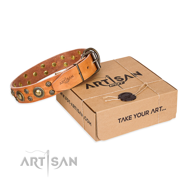 Fancy walking dog collar of top quality full grain genuine leather with decorations