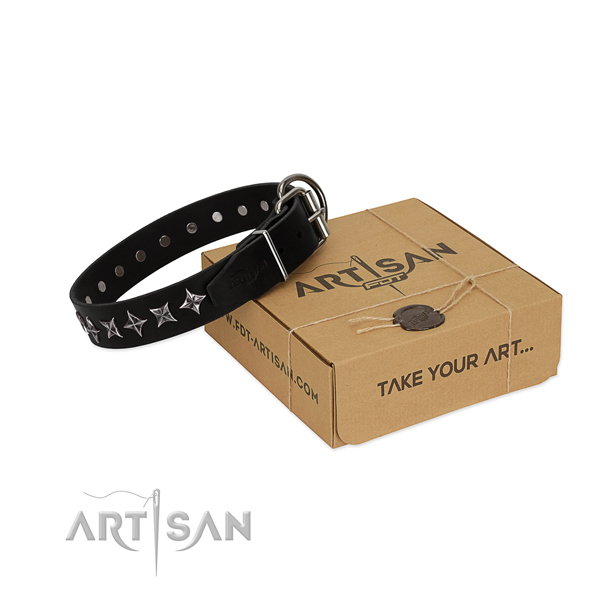 Stylish walking dog collar of reliable full grain leather with decorations