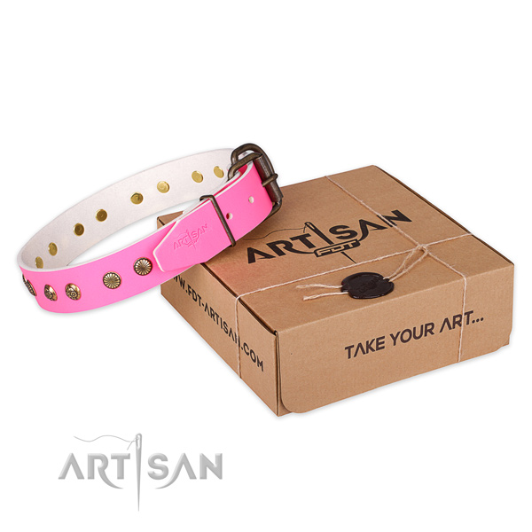 Rust resistant traditional buckle on full grain natural leather collar for your impressive four-legged friend