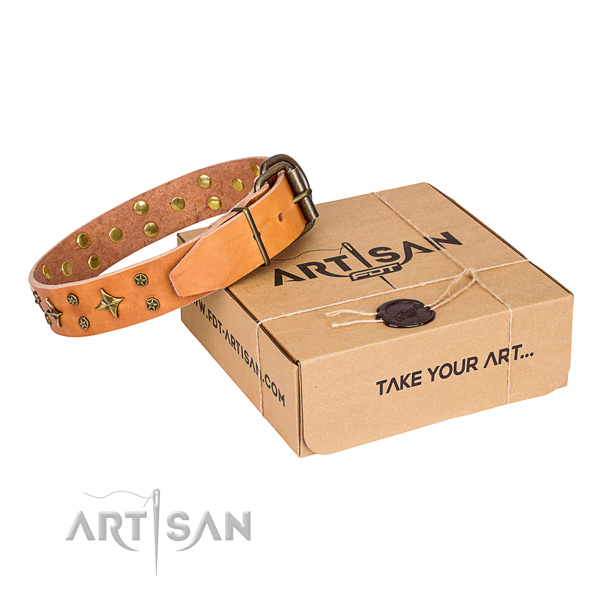 Basic training dog collar of best quality leather with adornments