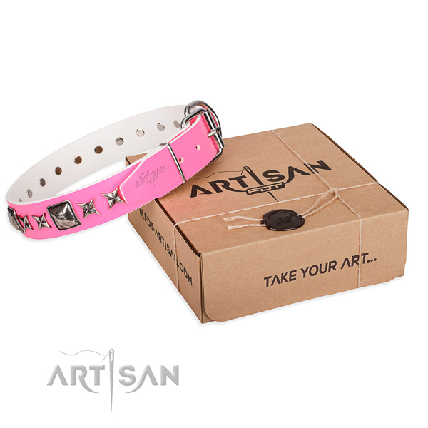 Daily use leather dog collar with embellishments