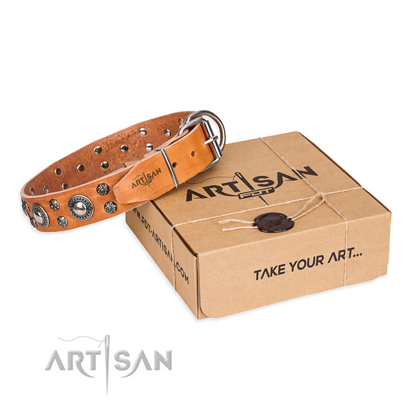 Basic training dog collar of strong full grain natural leather with embellishments