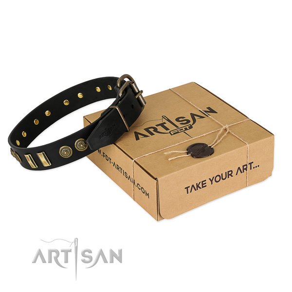 Corrosion proof adornments on natural leather dog collar for your pet