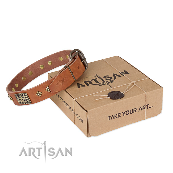 Designer natural leather collar for your lovely doggie