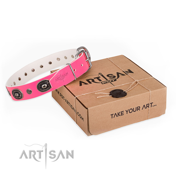 Soft leather dog collar created for fancy walking