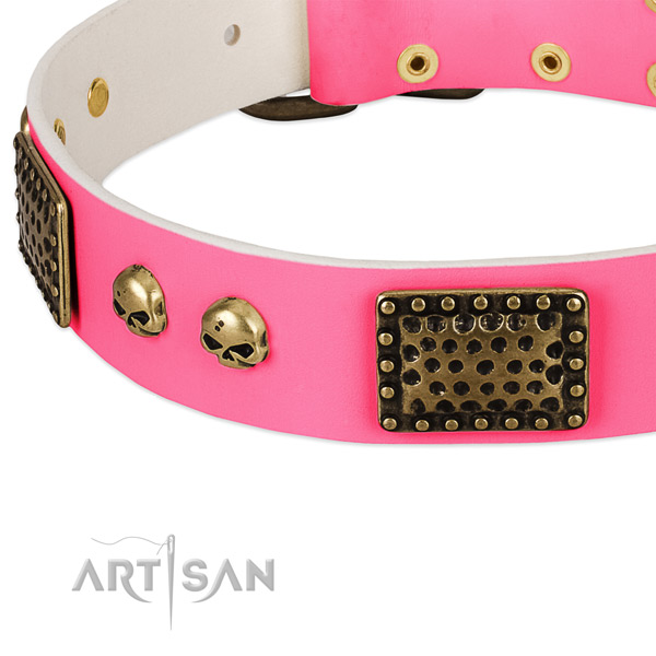 Rust resistant adornments on natural leather dog collar for your canine