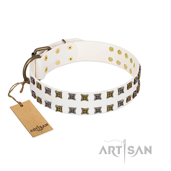 Leather collar with unusual studs for your dog